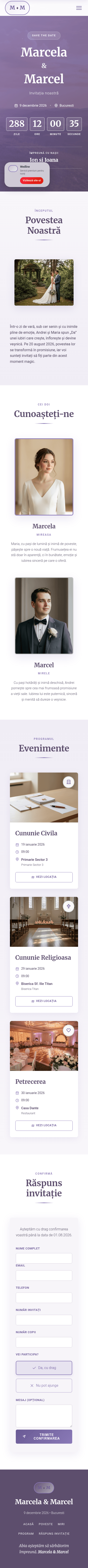 Violet Evening Mobile